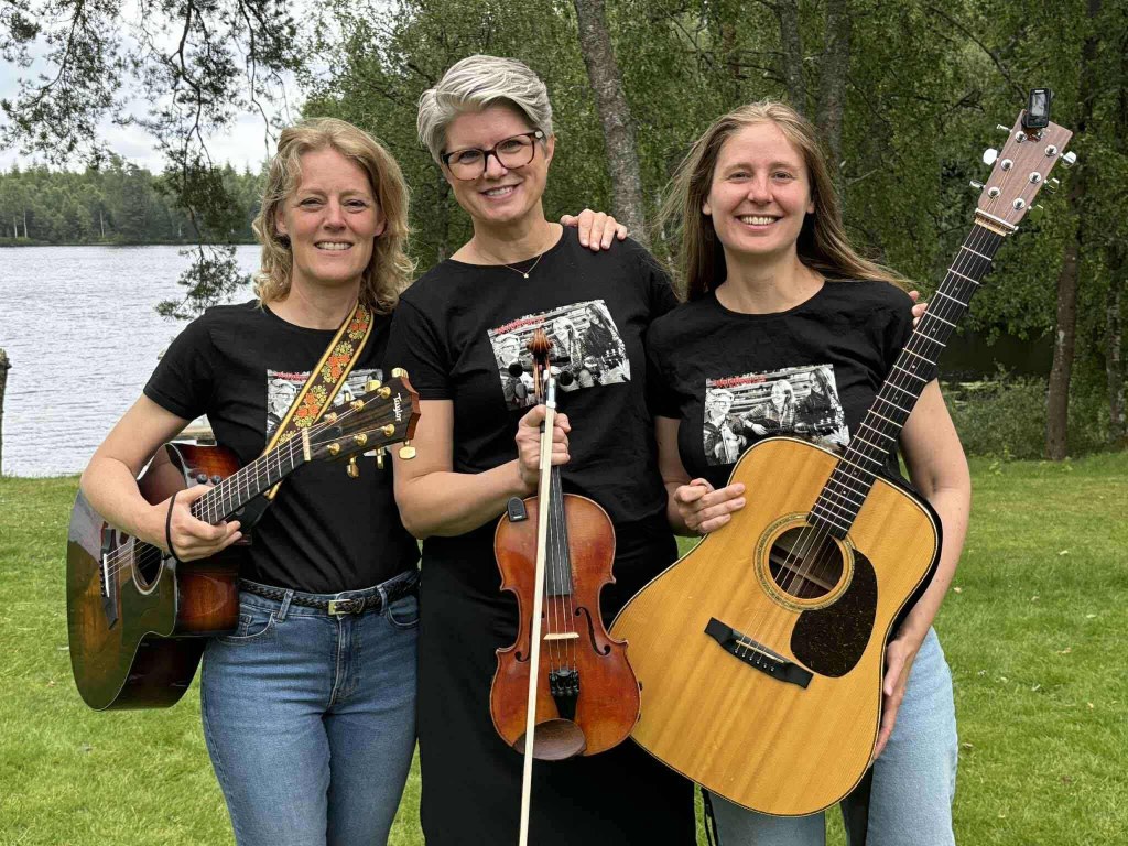 Wildflowers String Band