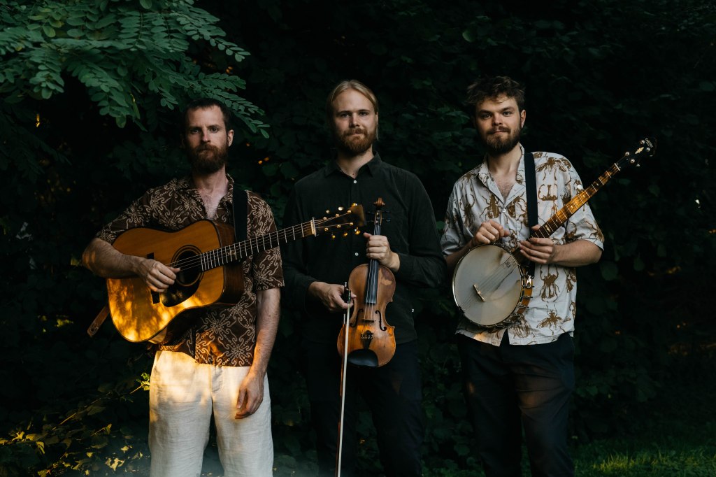 New Valley String Band